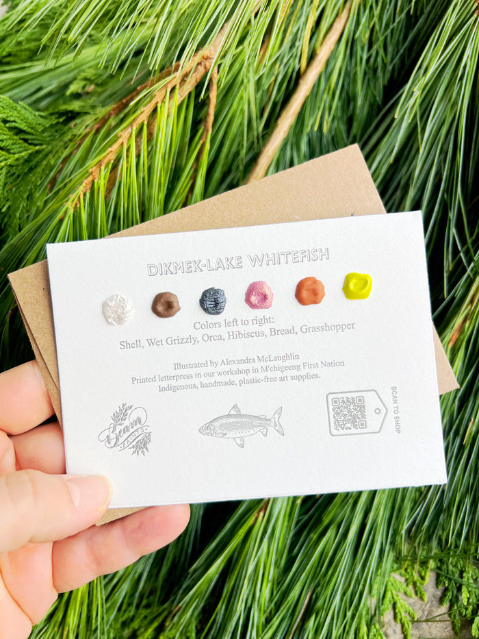 Lake Whitefish Beam Paintables