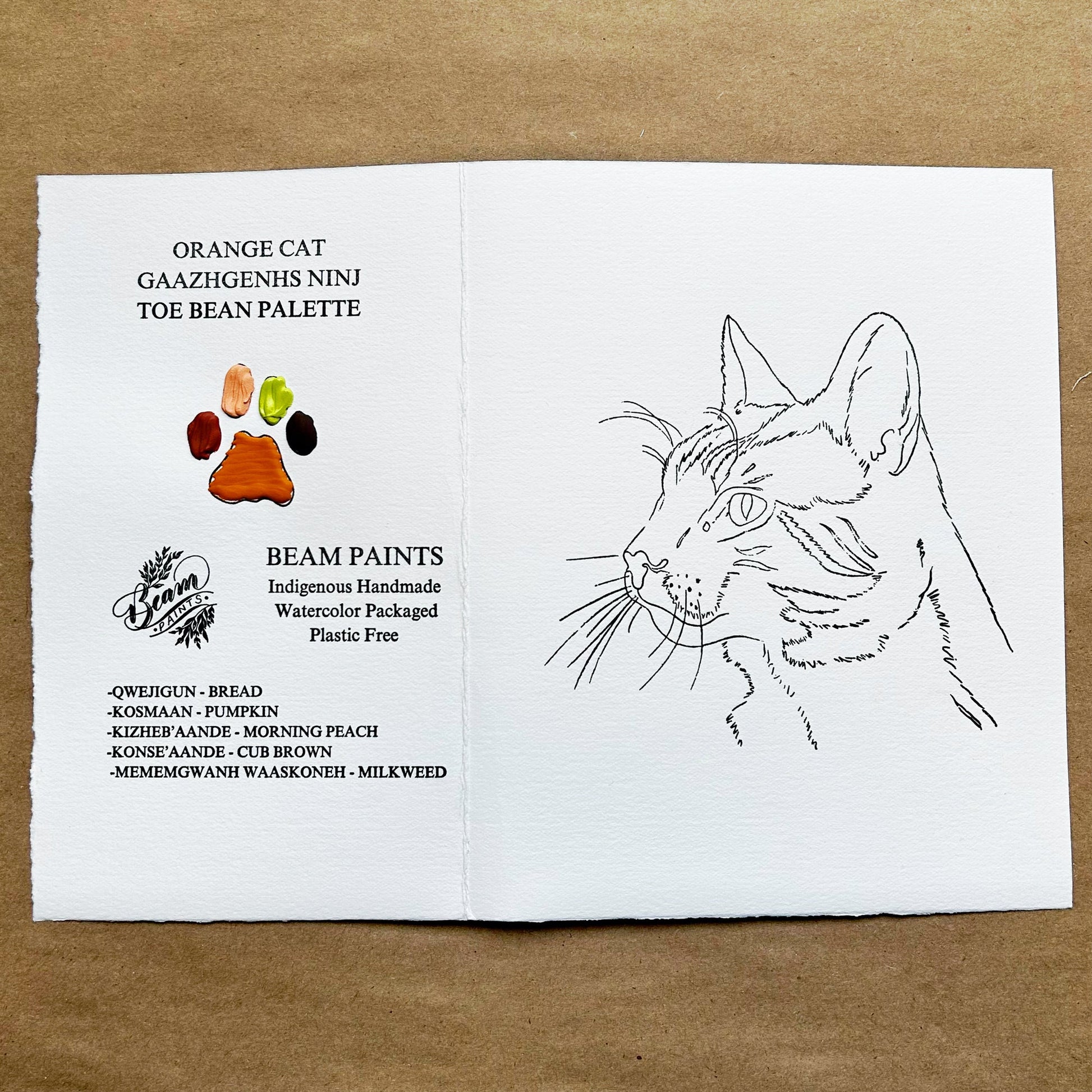 Orange Cat Beam Cat Paintables and Palettes - Odd Nodd Art Supply