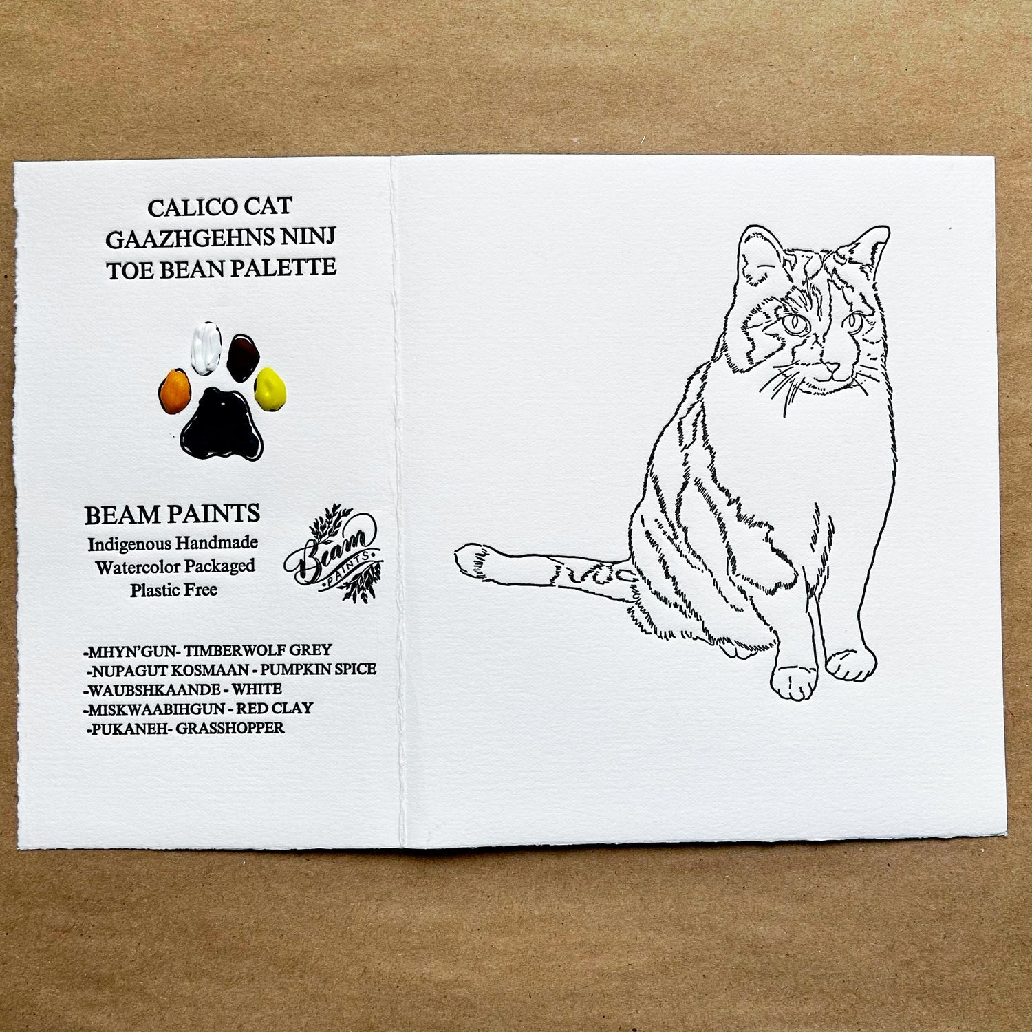 Calico Cat Beam Cat Paintables and Palettes - Odd Nodd Art Supply