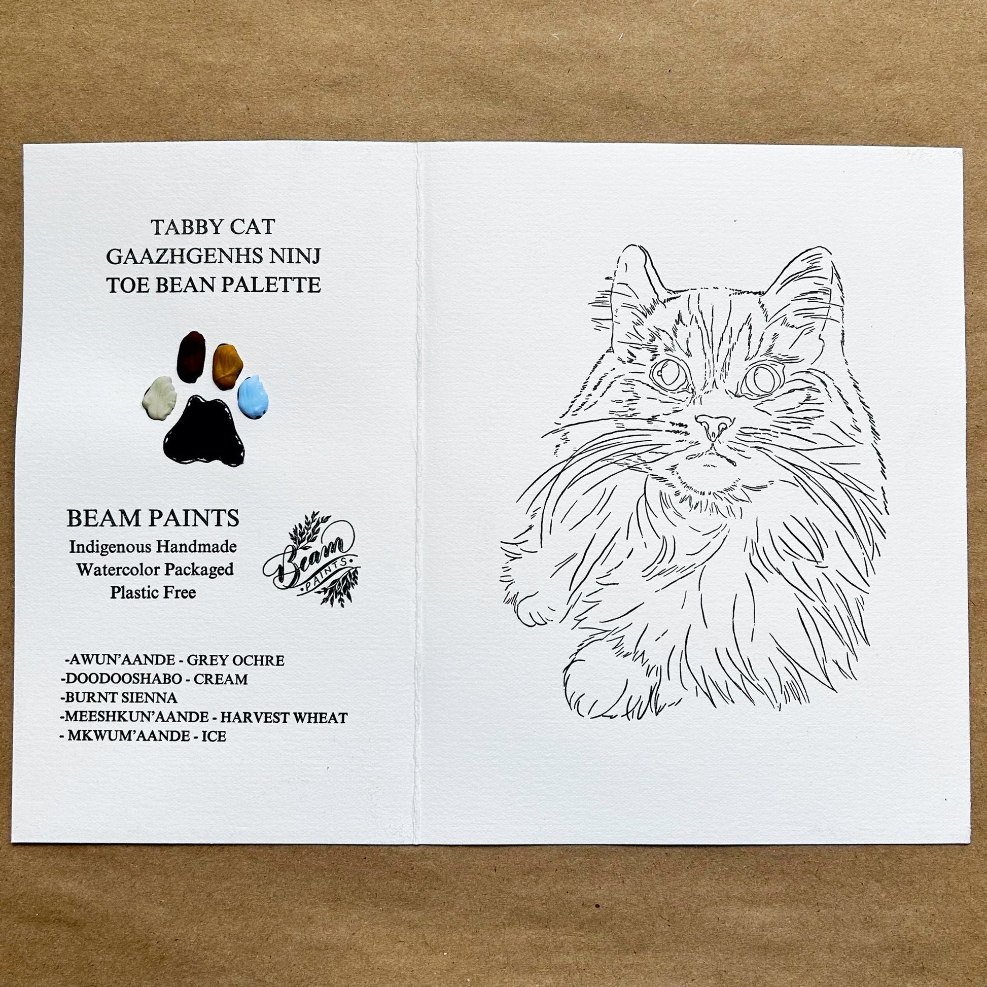 Tabby Beam Cat Paintables and Palettes - Odd Nodd Art Supply