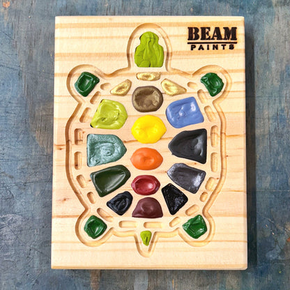 Pine Turtle Palette Beam Watercolor
