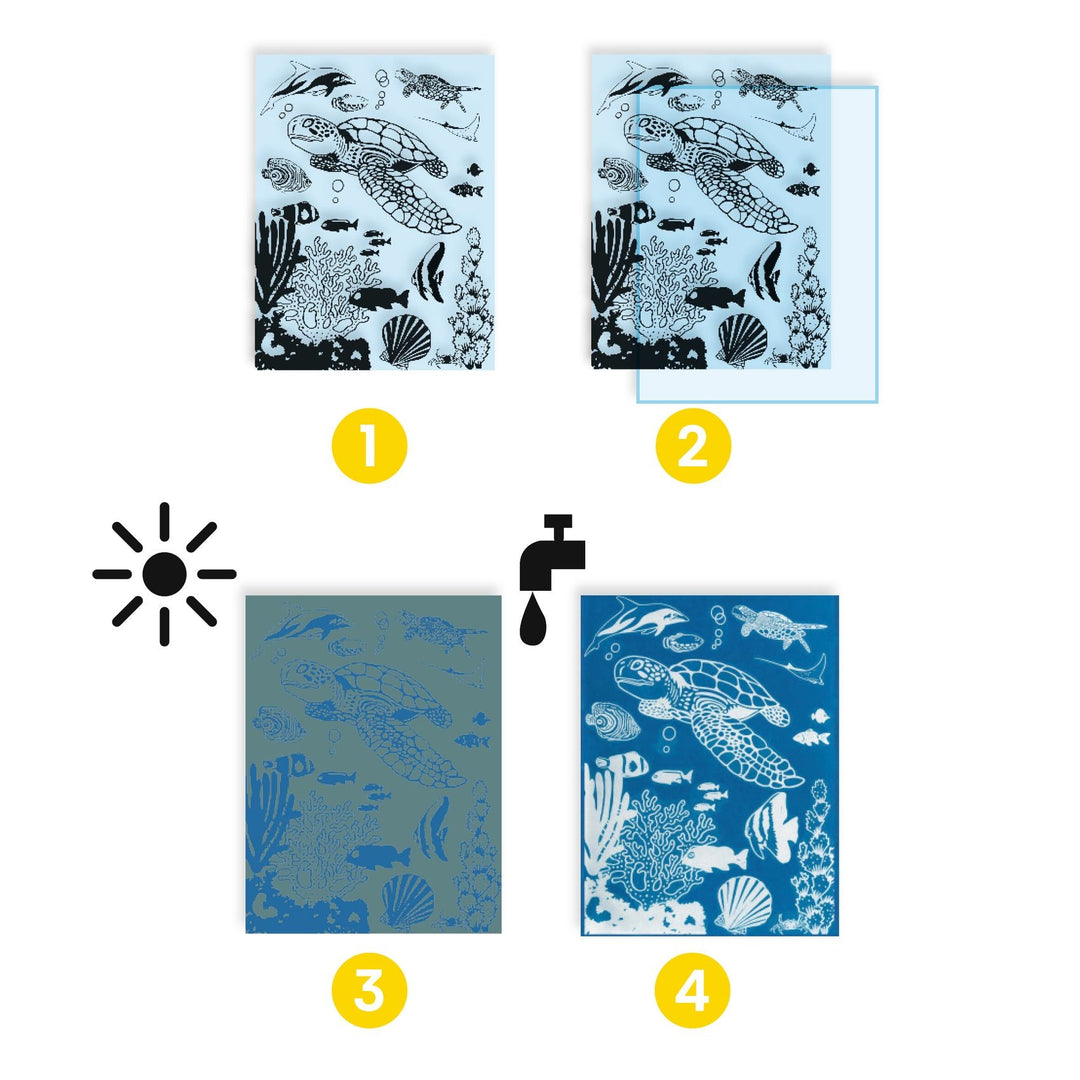 illustration of the kit before and after the cyanotype paper is exposed to sunlight 