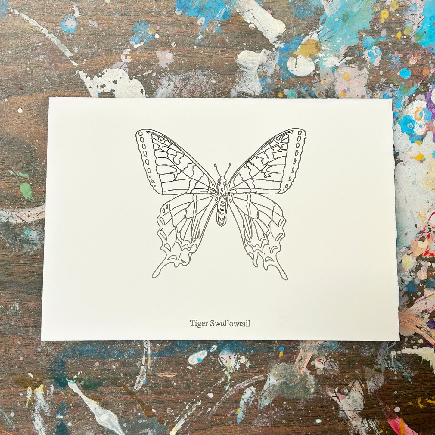 Tiger Swallowtail Beam Paints Paintables