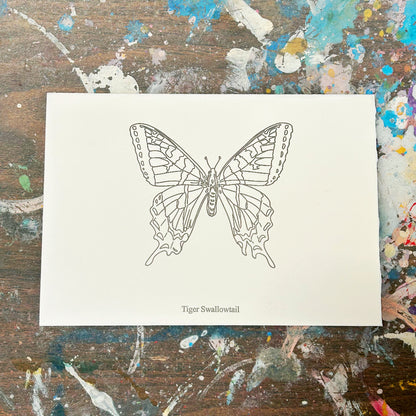 Tiger Swallowtail Beam Paints Paintables