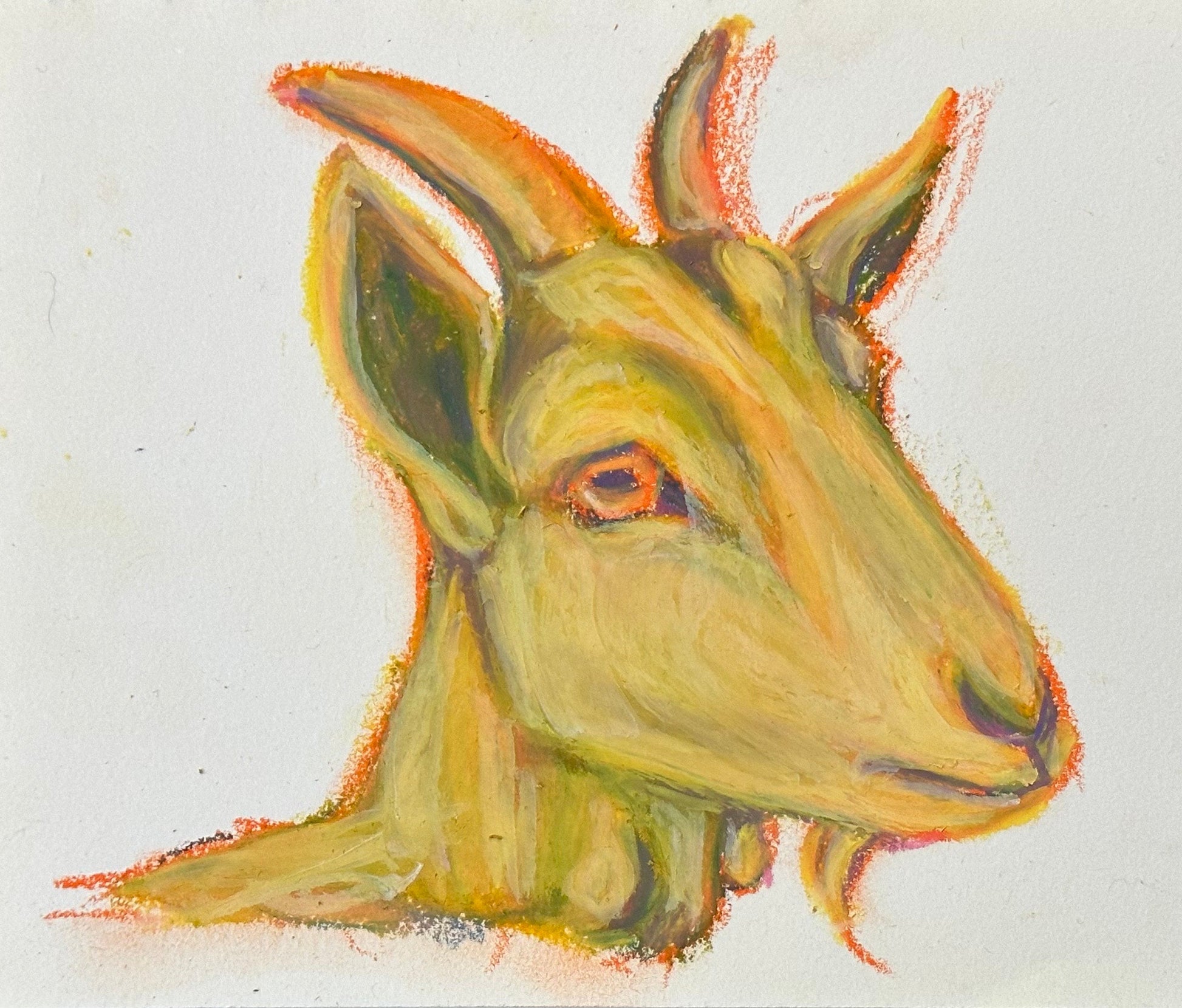 Classes got oil pastel