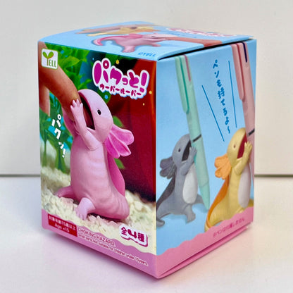 Axolotl Blind Box - Odd Nodd Art Supply