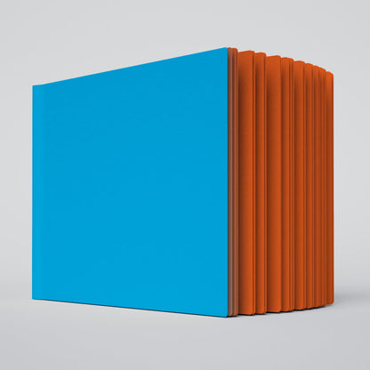 Uglybook in No 2 Sports! with a bright blue cover and orange pages