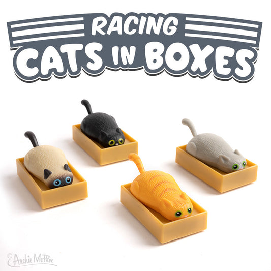 Racing Cats In Boxes - Odd Nodd Art Supply