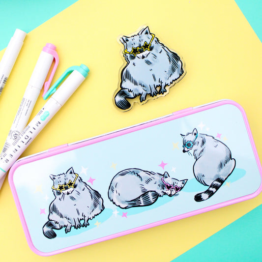 Raccoon Pencil Tin