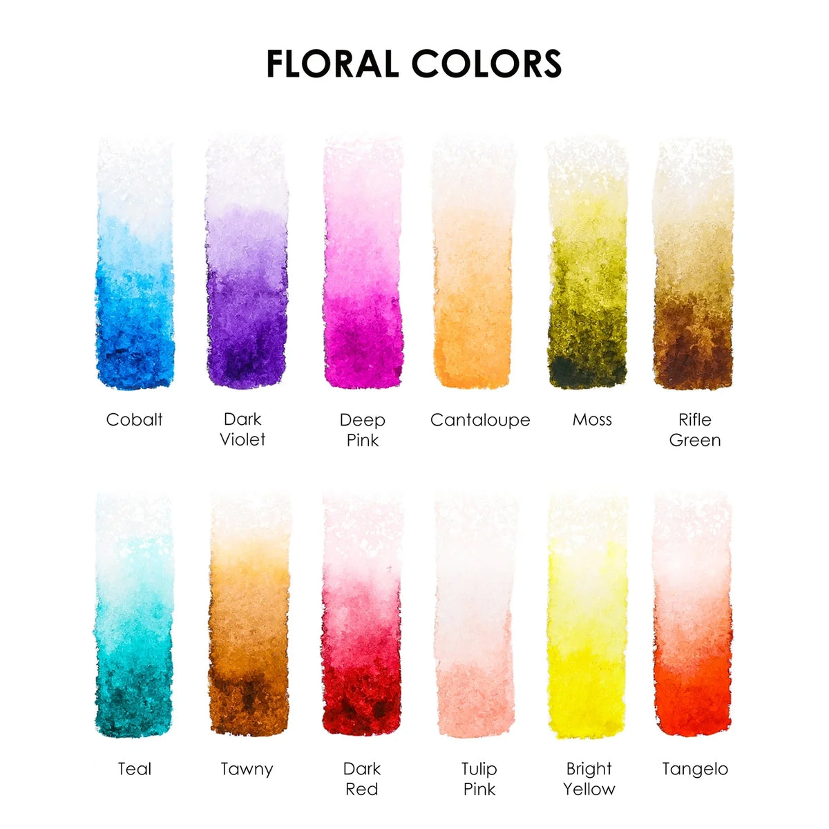 Swatch card for the Florals watercolor set: Cobalt, Dark Violet, Deep Pink, Cantaloupe, Moss, Rifle Green, Teal, Tawny, Dark Red, Tulip Pink, Bright Yellow, and Tangelo