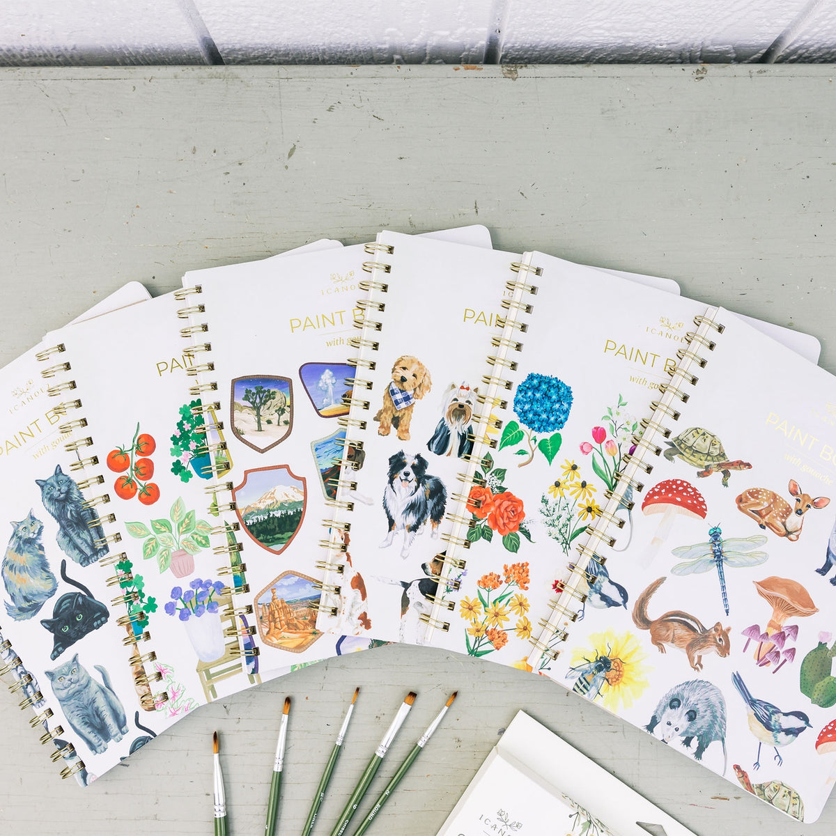a variety of learn to paint gouache workbooks spread across a desk with a variety of paintbrushes