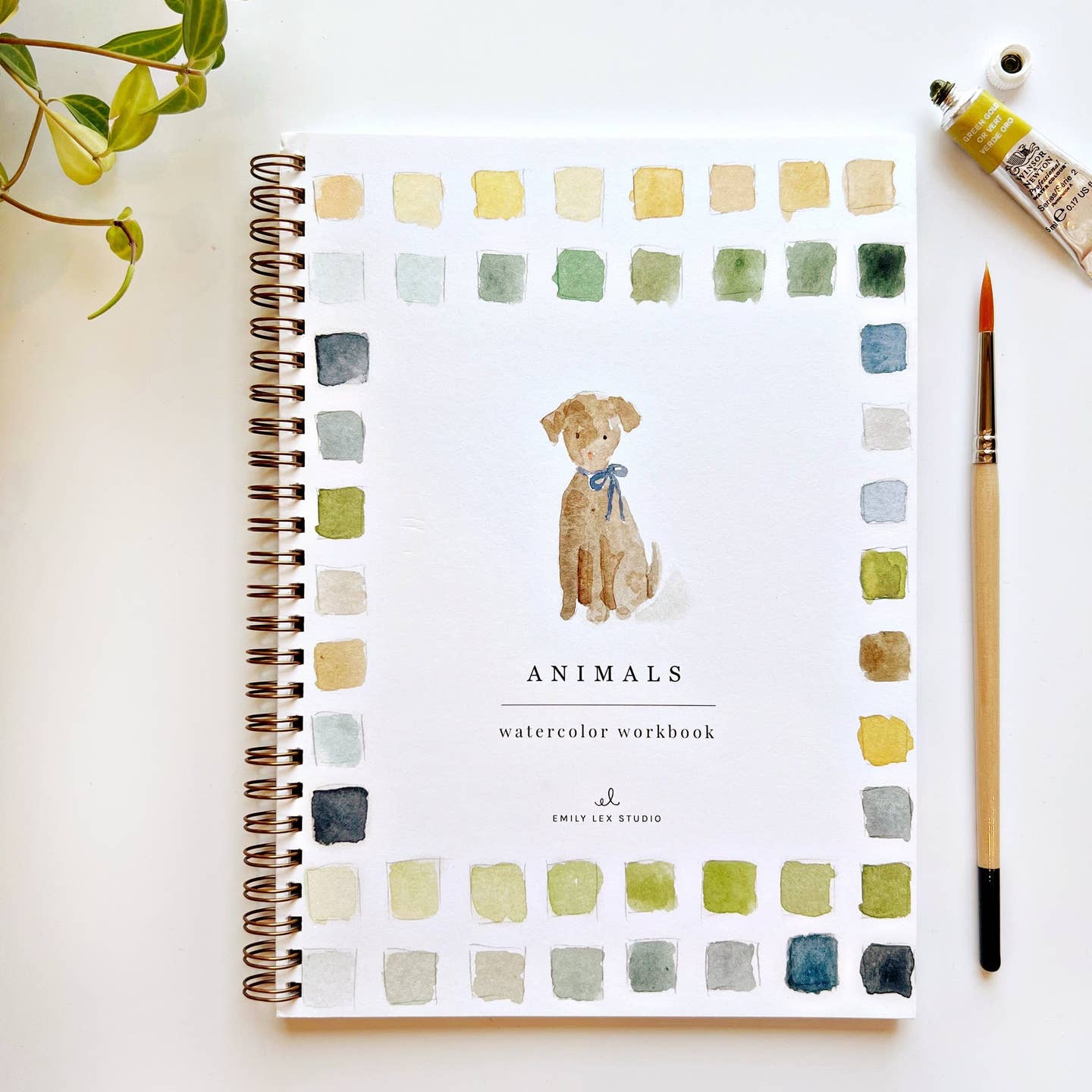 Watercolor Workbook by Emily Lex