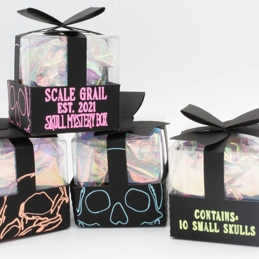 Mystery Skull Blind Box