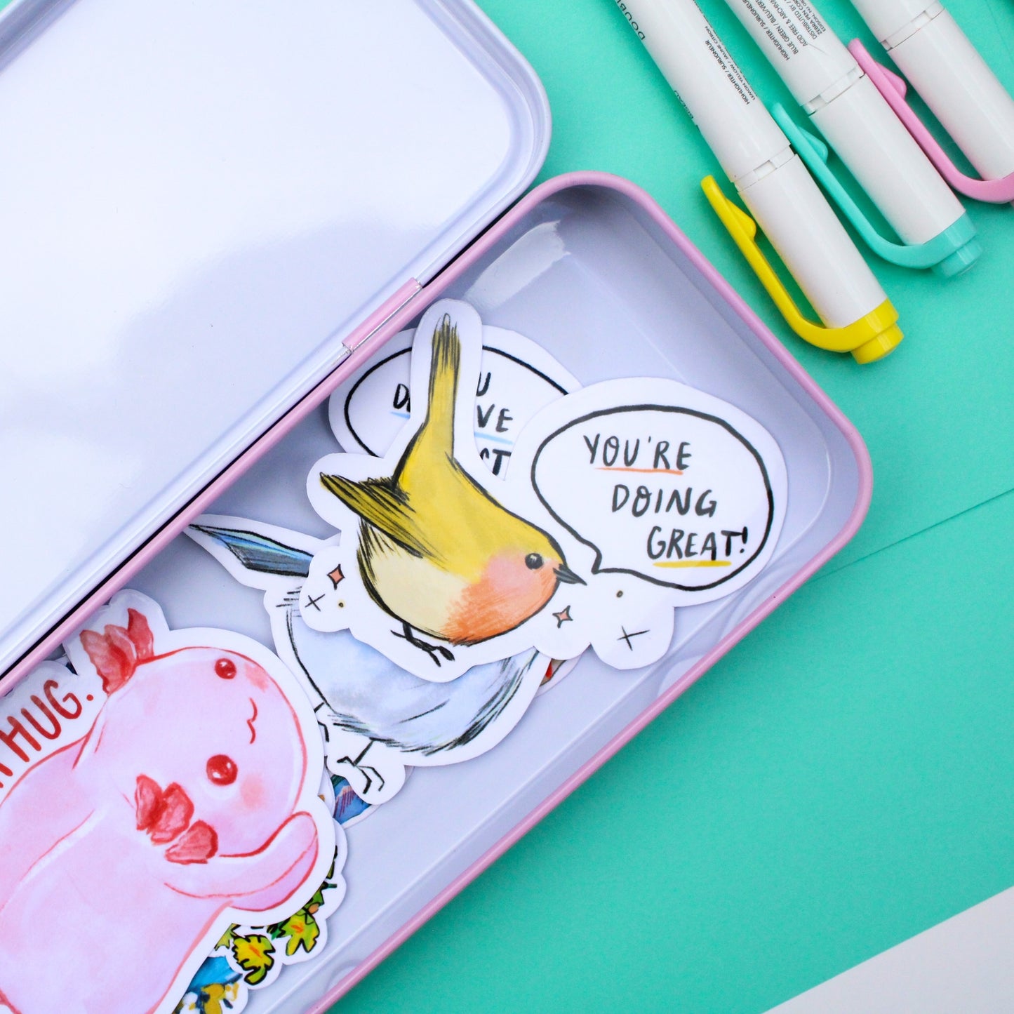 Raccoon Pencil Tin