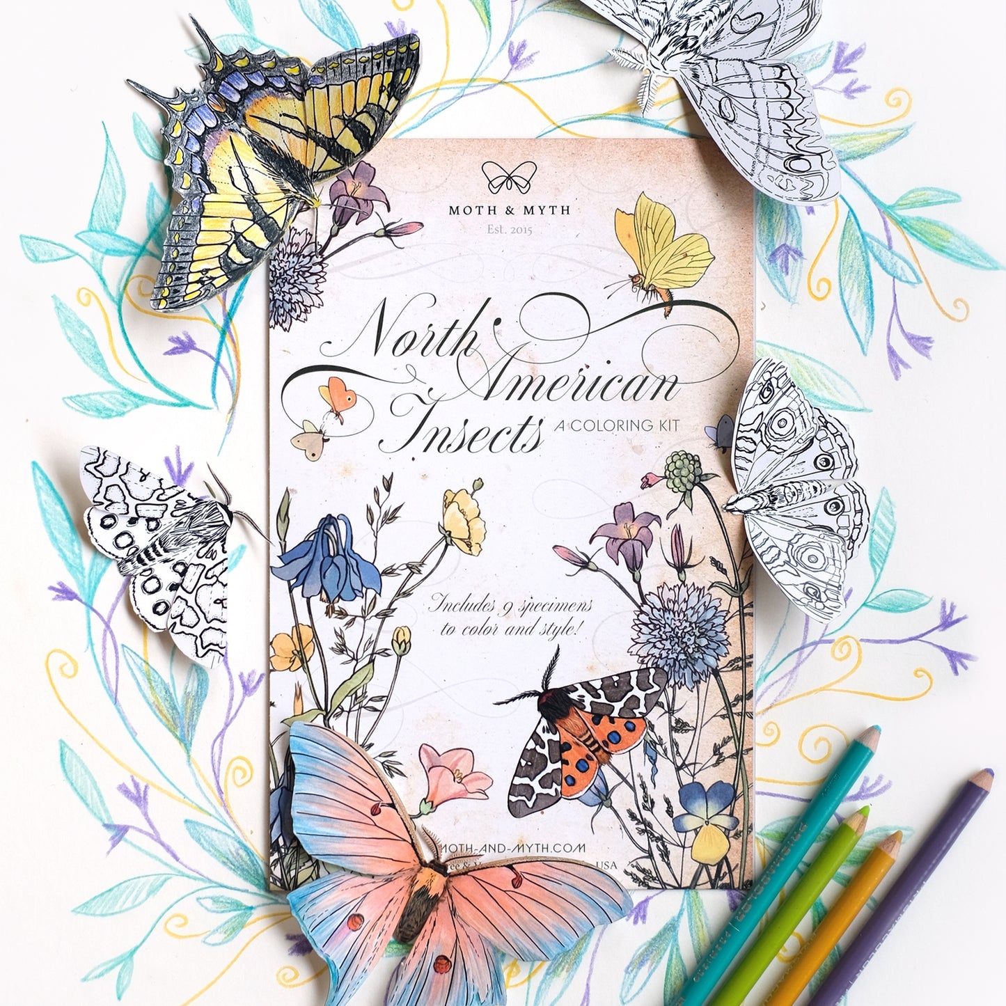 Paper Specimen Coloring Sets - Odd Nodd Art Supply