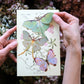 Moth and Myth Paper Specimen Sets - Odd Nodd Art Supply