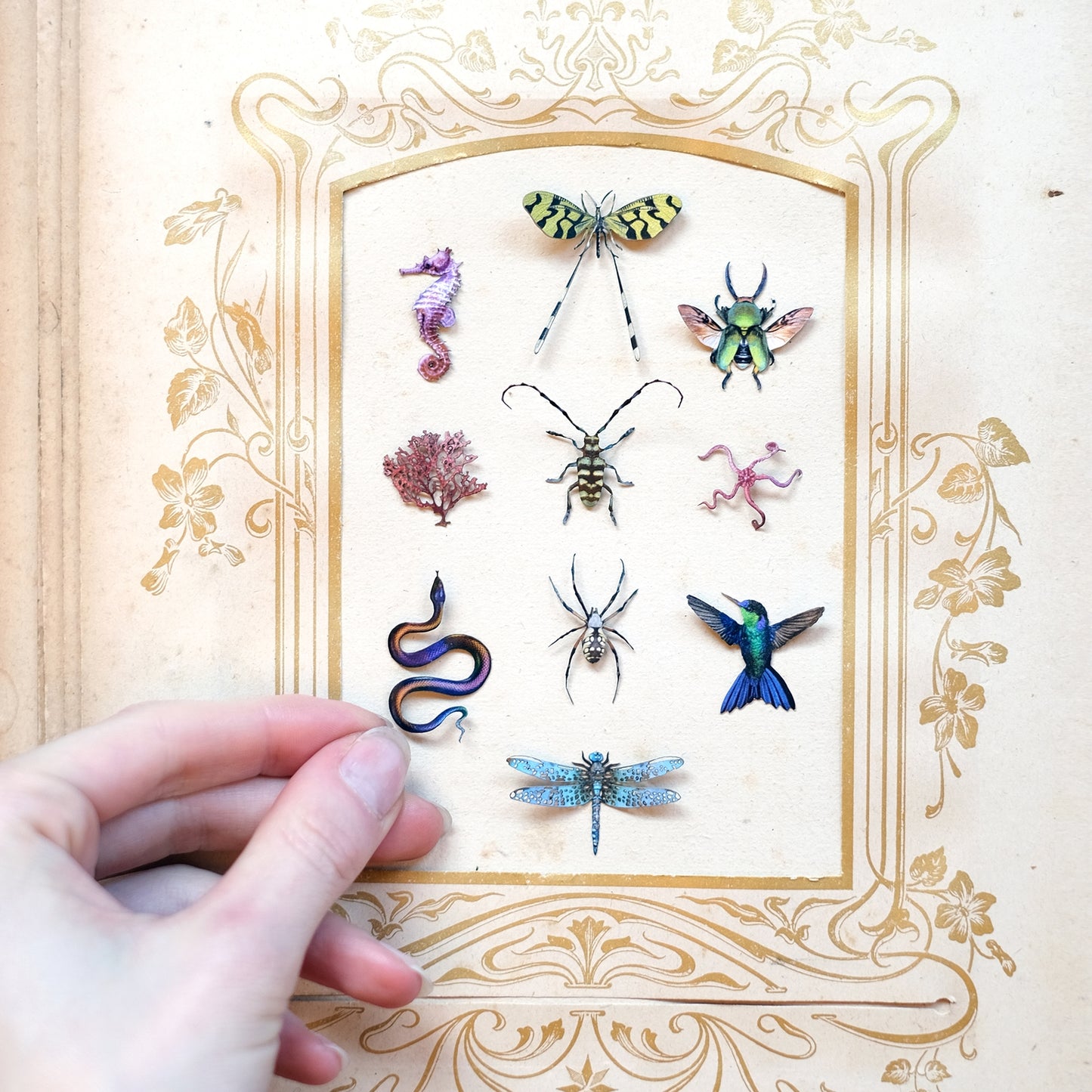 Moth and Myth Paper Specimen Sets - Odd Nodd Art Supply