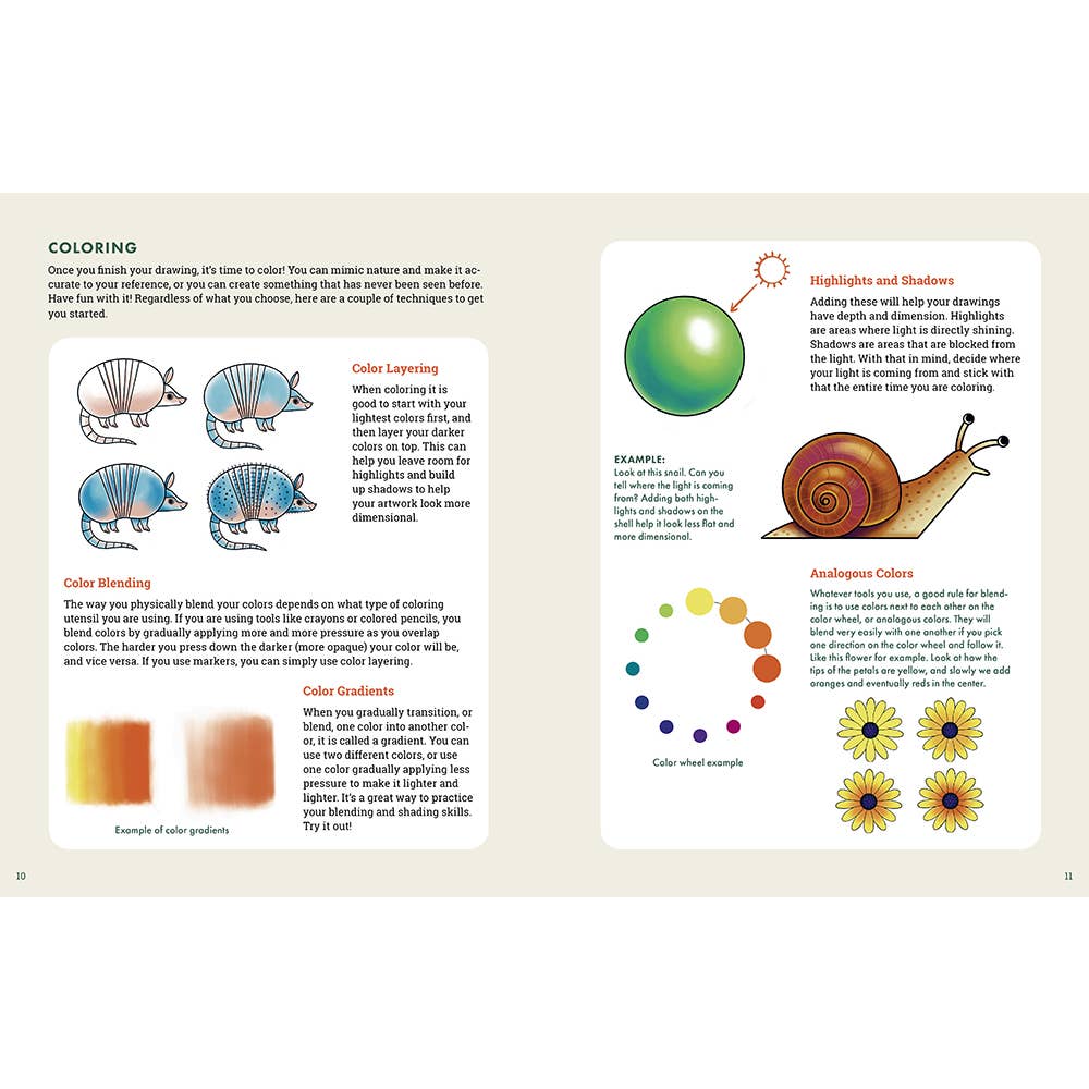 Explorer's Drawing Guide for Kids