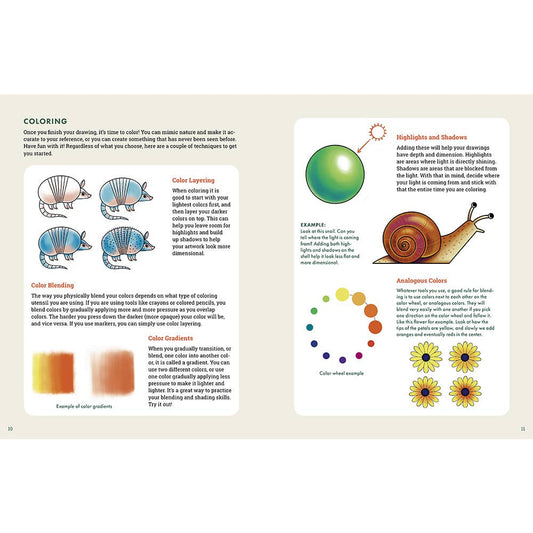 Explorer's Drawing Guide for Kids