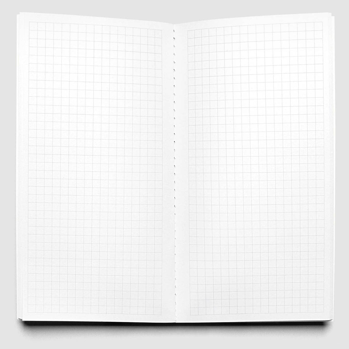 Interior of Cloth & Paper Graph travel notebook