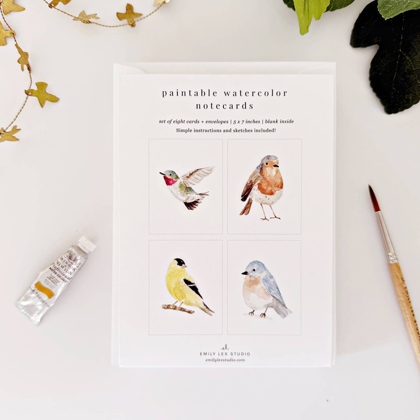 Paintable Watercolor Notecards by Emily Lex