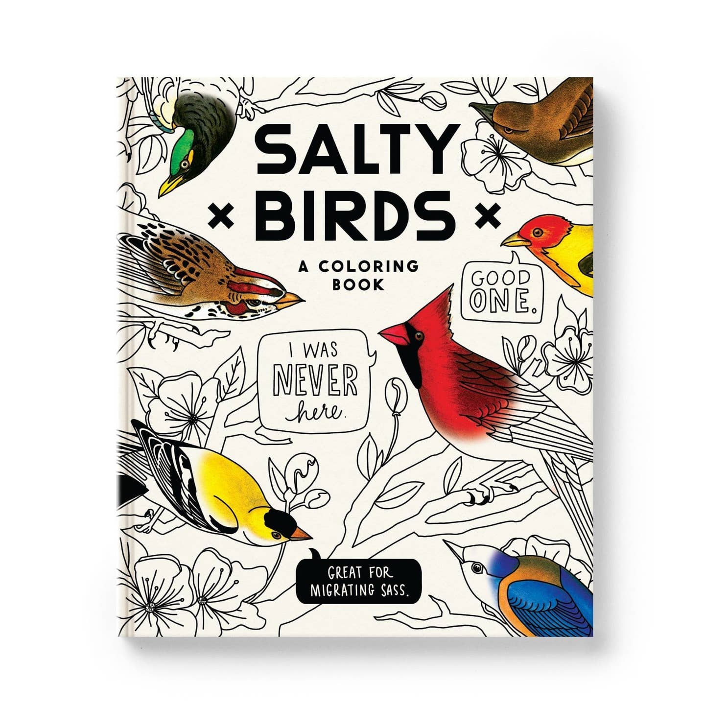 Salty Birds Coloring Books by Brass Monkey