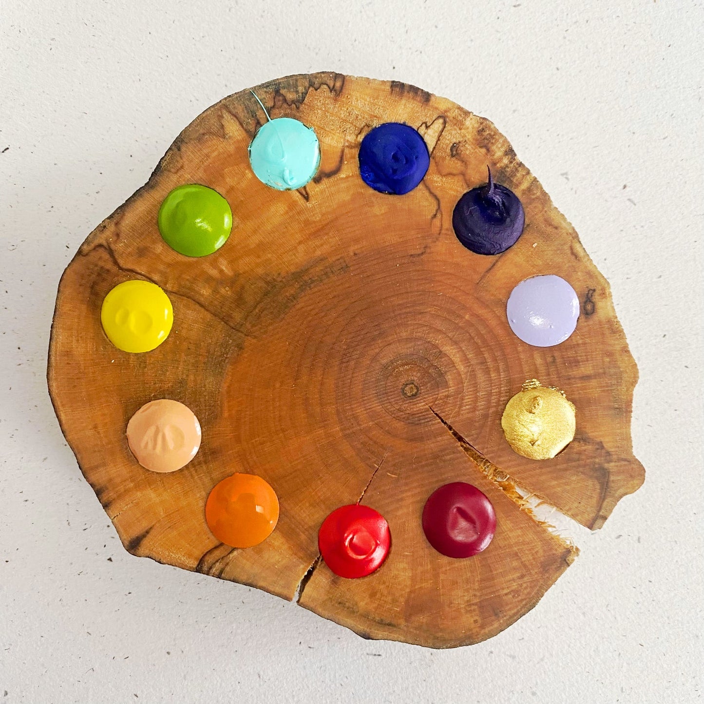 Spectrum 11 Maple Set Beam Watercolor - Odd Nodd Art Supply