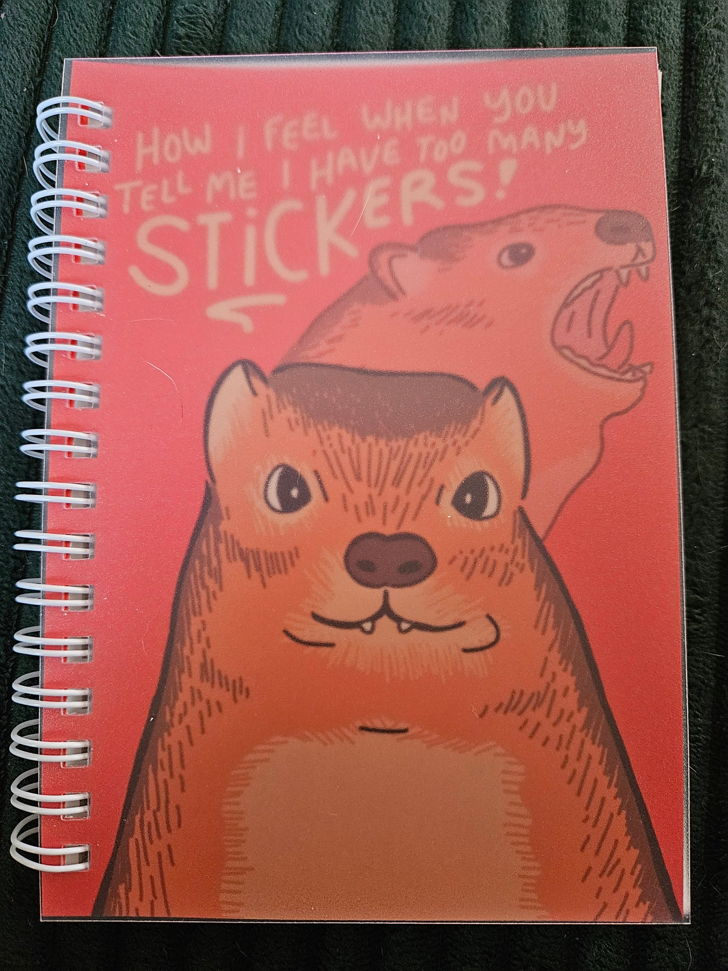Reusable Sticker Books