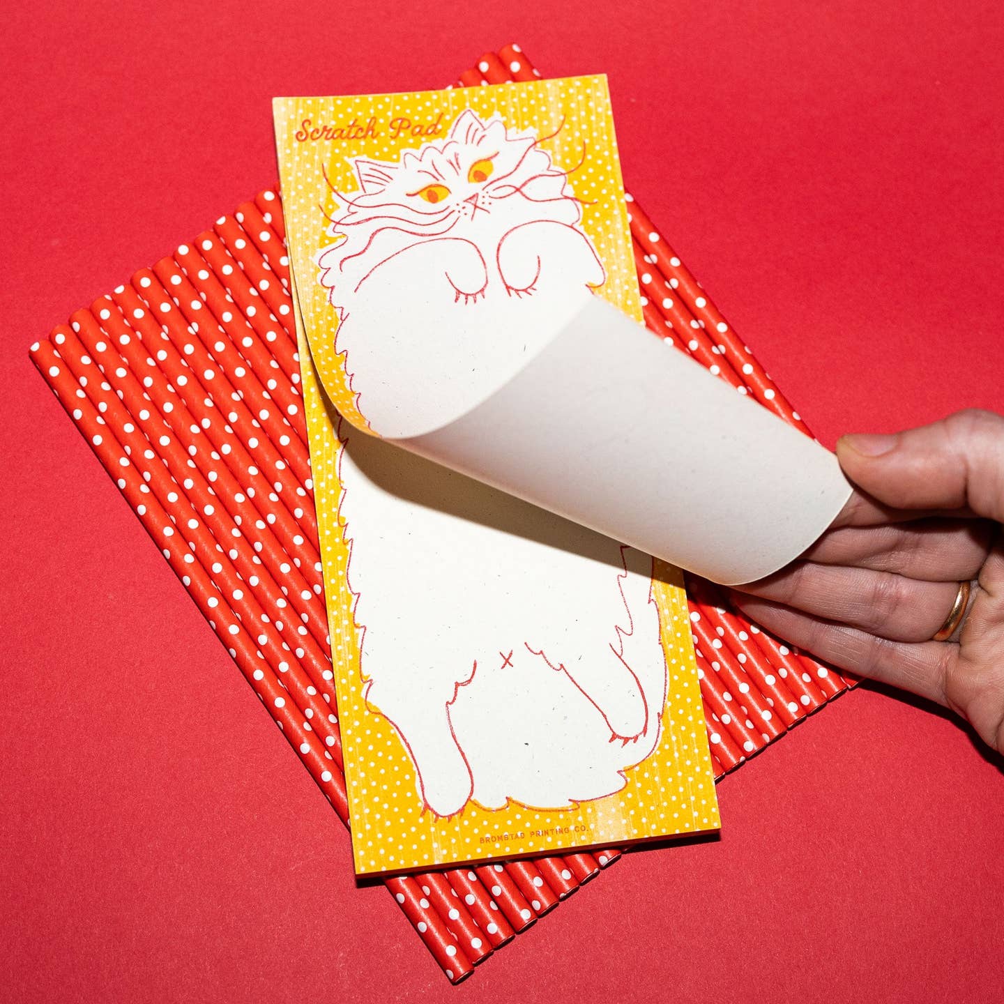 Risograph Notepad - Cat Scratchpad