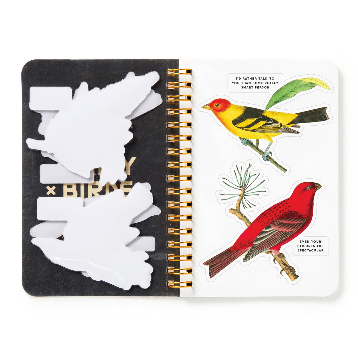 Salty Birds Brass Monkey Sticker Books - Odd Nodd Art Supply