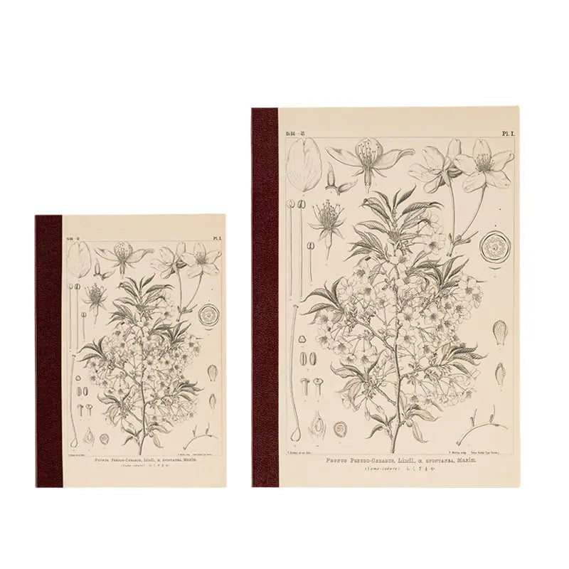 Tomitaro Makino: Yamazakura