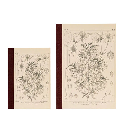 Tomitaro Makino: Yamazakura