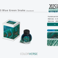 2025 Blue Green Snake Colorverse Special Series Fountain Pen Inks - Odd Nodd Art Supply