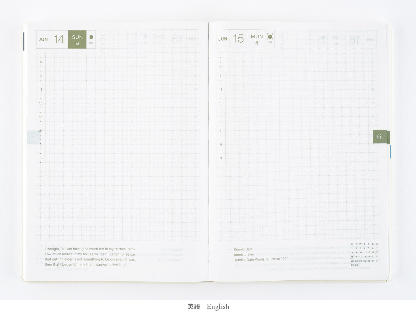 Hobonichi Hon Example