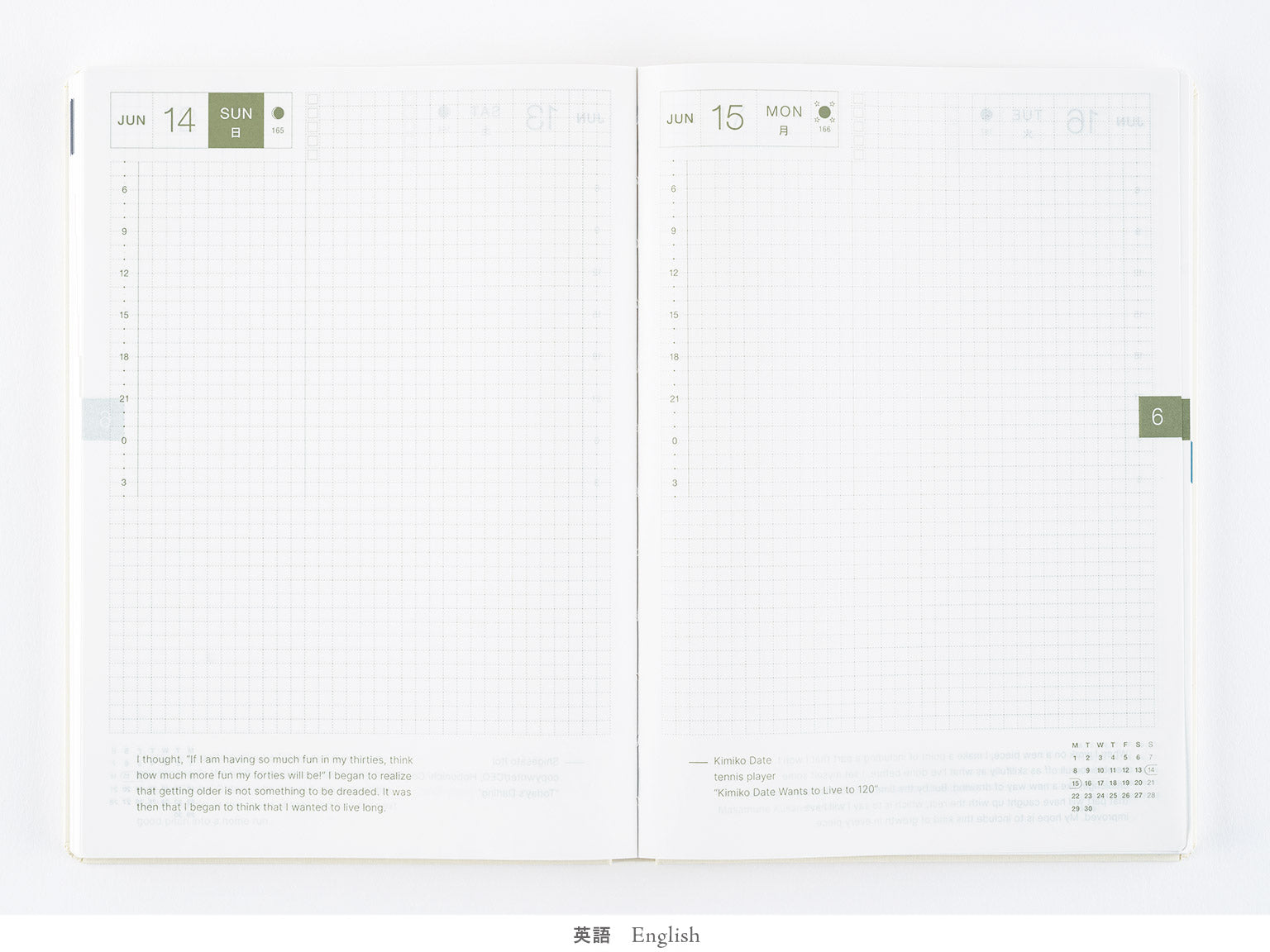 Hobonichi Hon Example