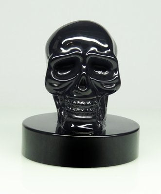 Classic Black Skull Fountain Pen