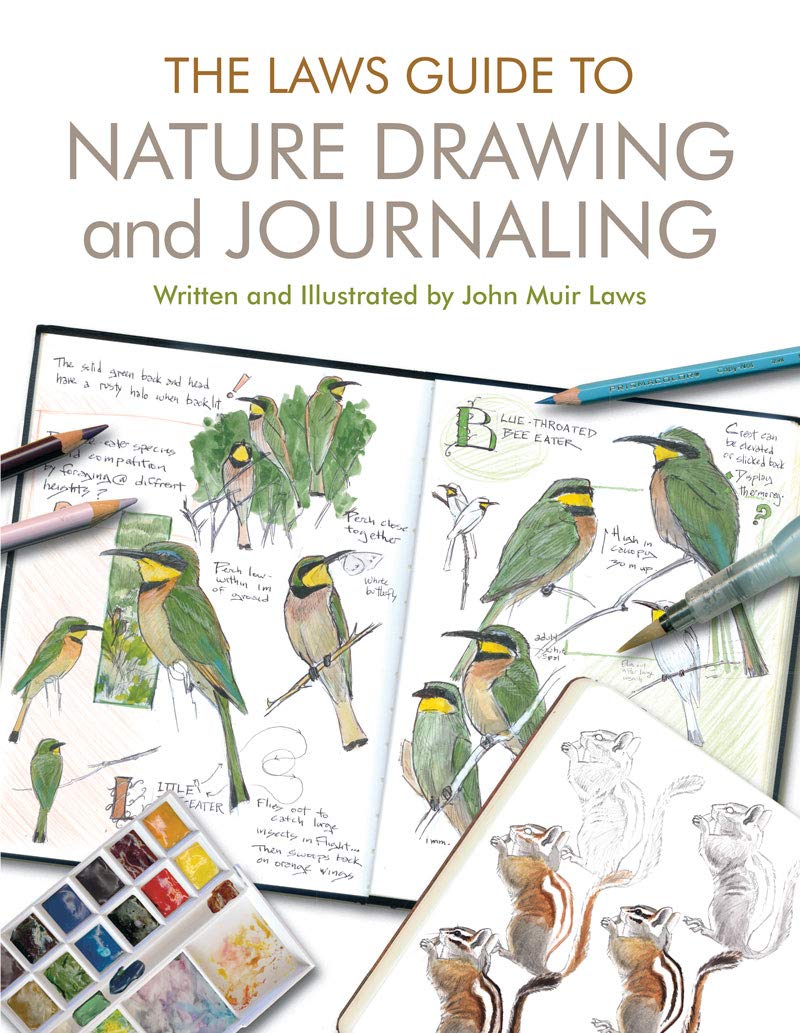 The Laws Guide to Nature Drawing and Journaling - Odd Nodd Art Supply