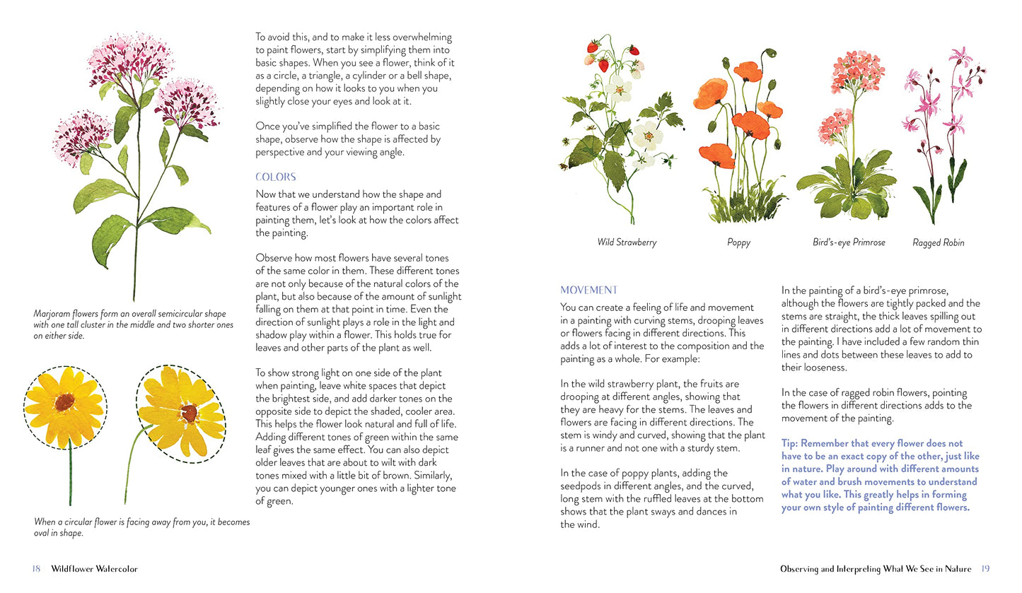 Wildflower Watercolor: The Beginner's Guide to Painting Beautiful Florals - Odd Nodd Art Supply