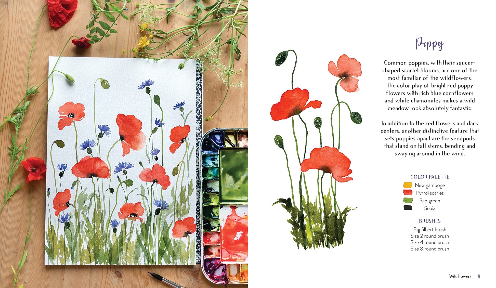 Wildflower Watercolor: The Beginner's Guide to Painting Beautiful Florals - Odd Nodd Art Supply