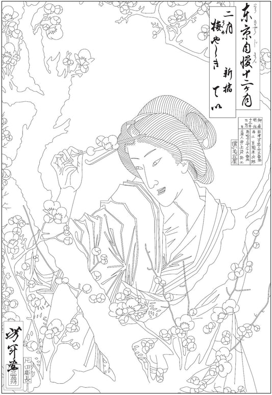 In A Japanese Garden Coloring Book - Odd Nodd Art Supply