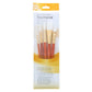 Princeton Real Value Brush Sets