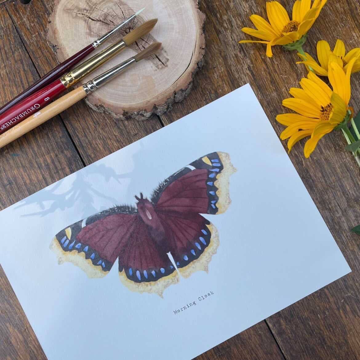 Mourning Cloak Beam Watercolor Paint By Number Sets - Odd Nodd Art Supply