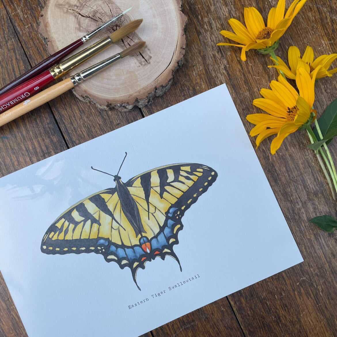 Eastern Tiger Swallowtail Beam Watercolor Paint By Number Sets - Odd Nodd Art Supply