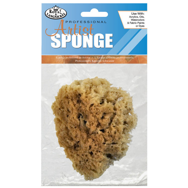 Artist's Sponges