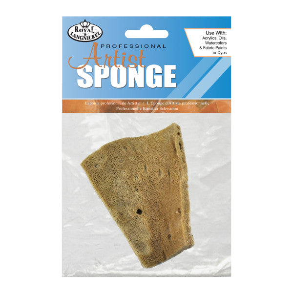 Artist's Sponges